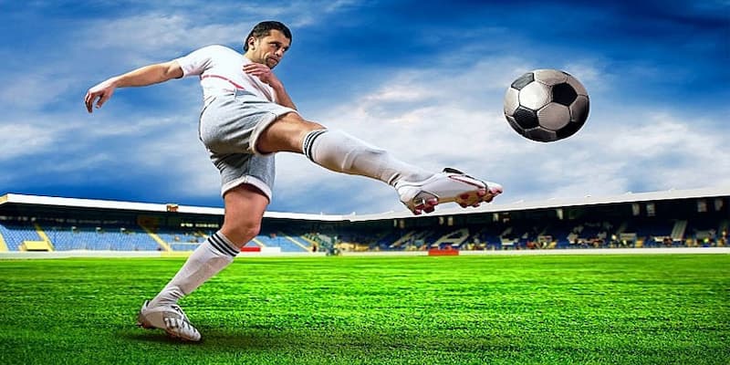 Cá độ bóng đá Cá độ bóng đá sự kết hợp hứng thú