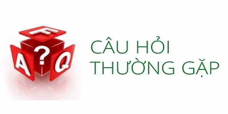 Câu hỏi thường gặp về vai trò